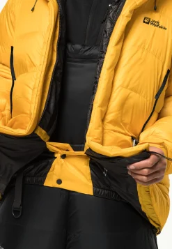 1995 Series Down Hoody