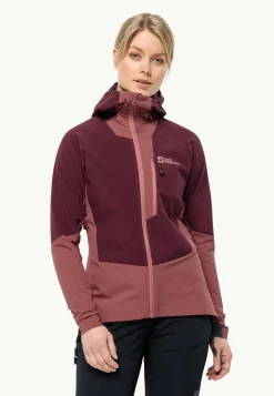 Alpspitze Hoody W