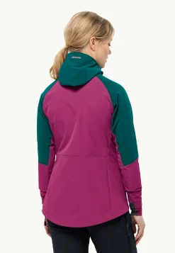 Alpspitze Hoody W