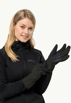 Alpspitze Merino Glove