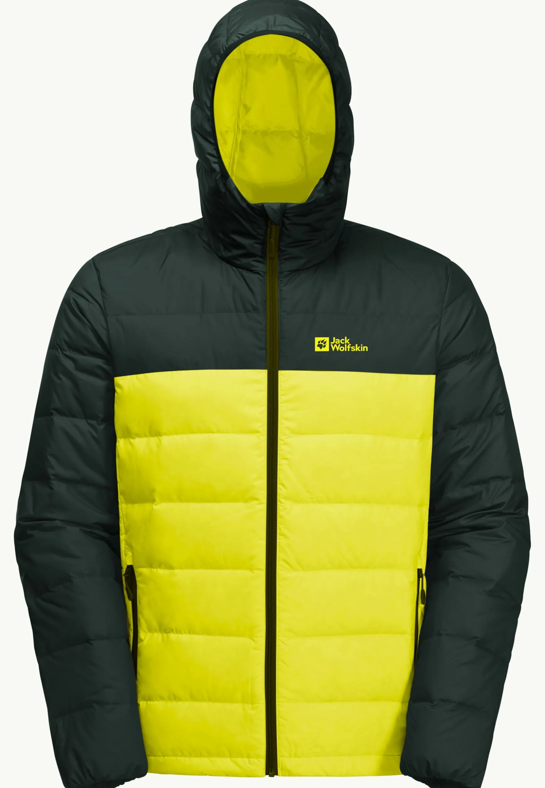 Ather Down Hoody M Rds