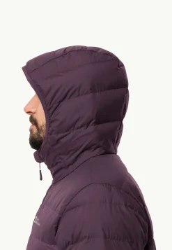 Ather Down Hoody M Rds