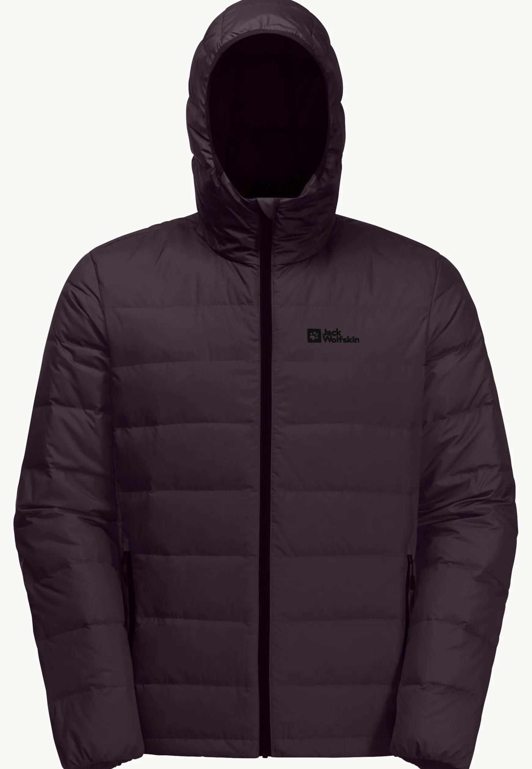 Ather Down Hoody M Rds