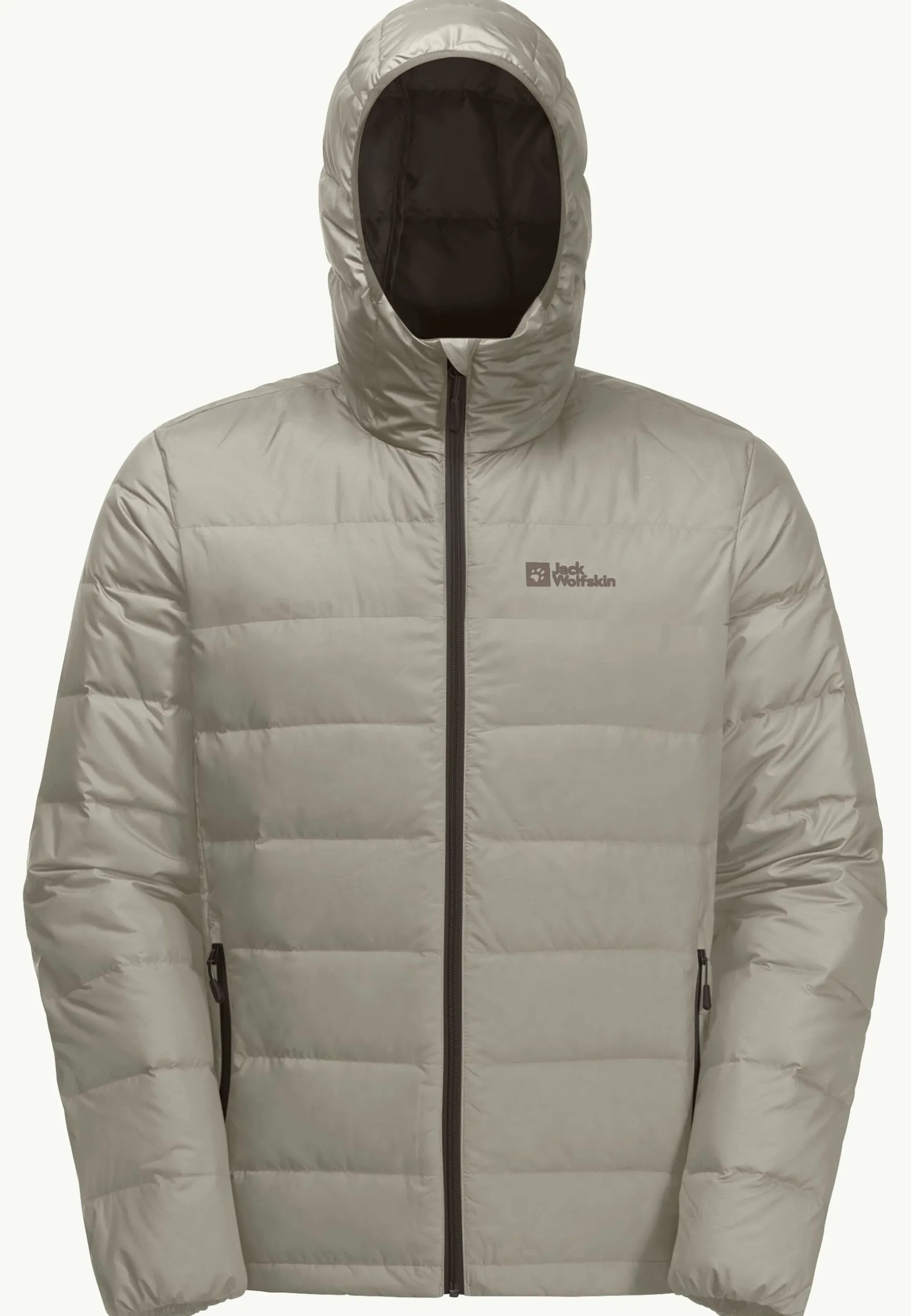 Ather Down Hoody M Rds