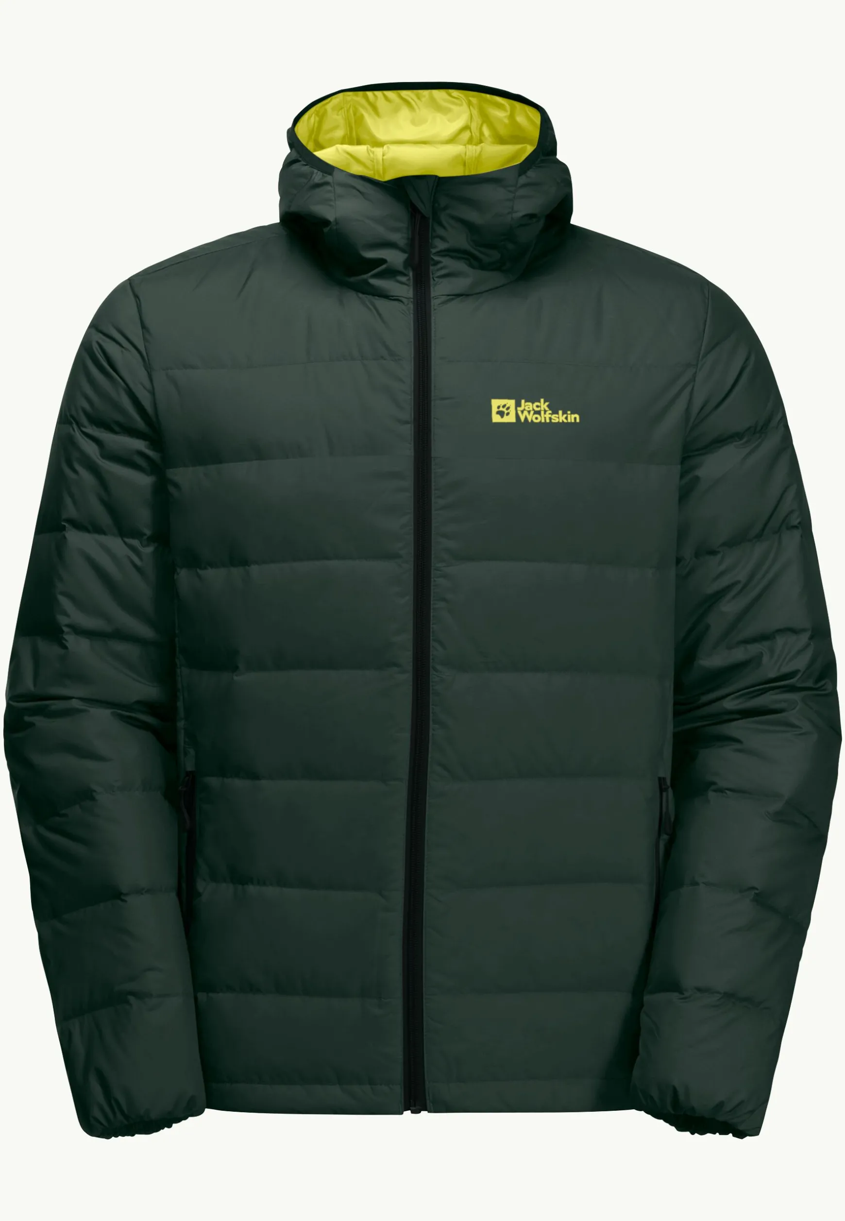 Ather Down Hoody M Rds