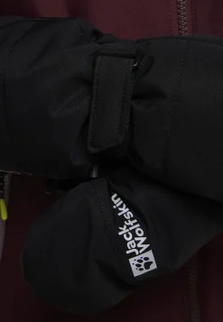 2l Winter Mitten K