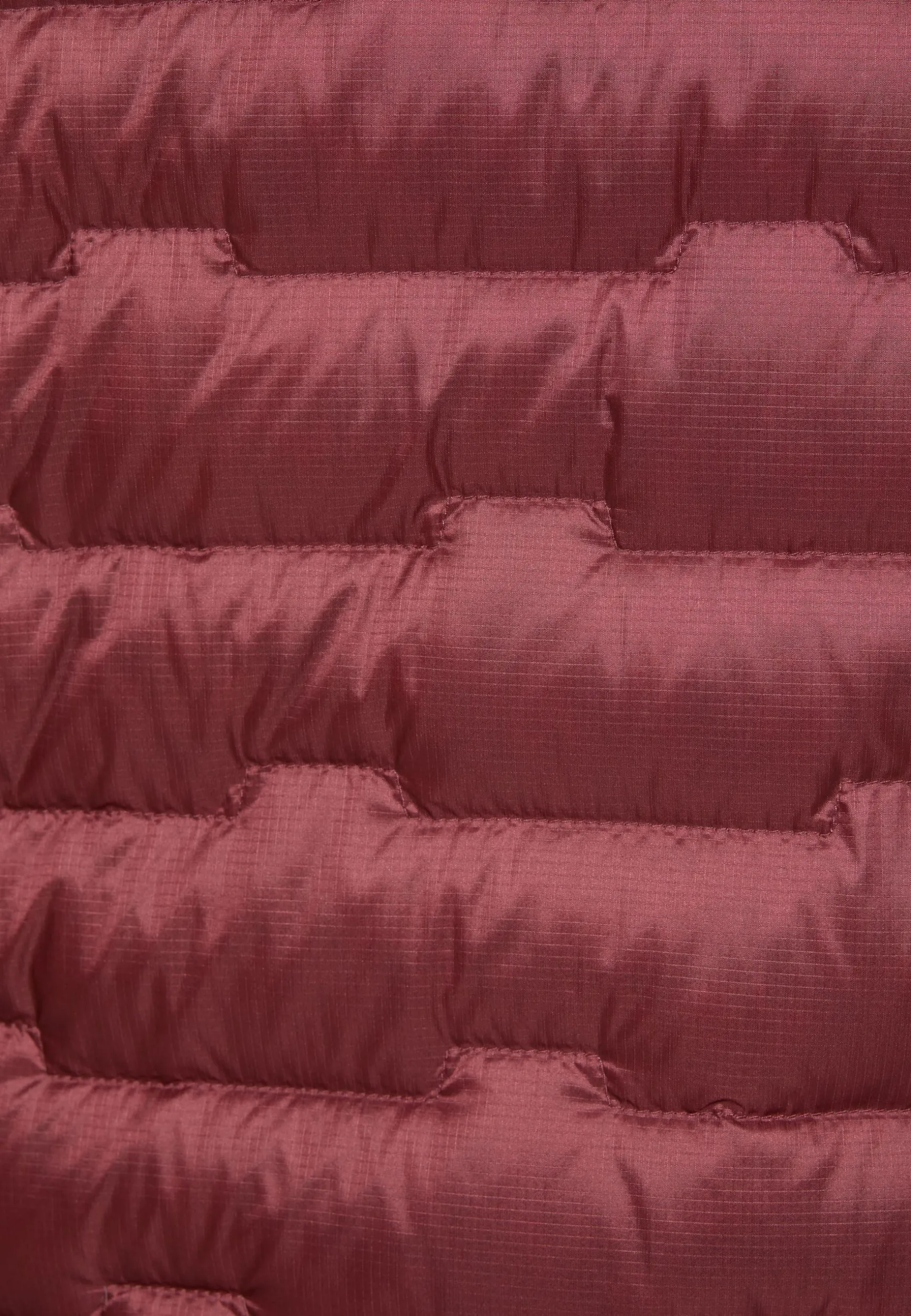 Passamani Down Hoody W Rds