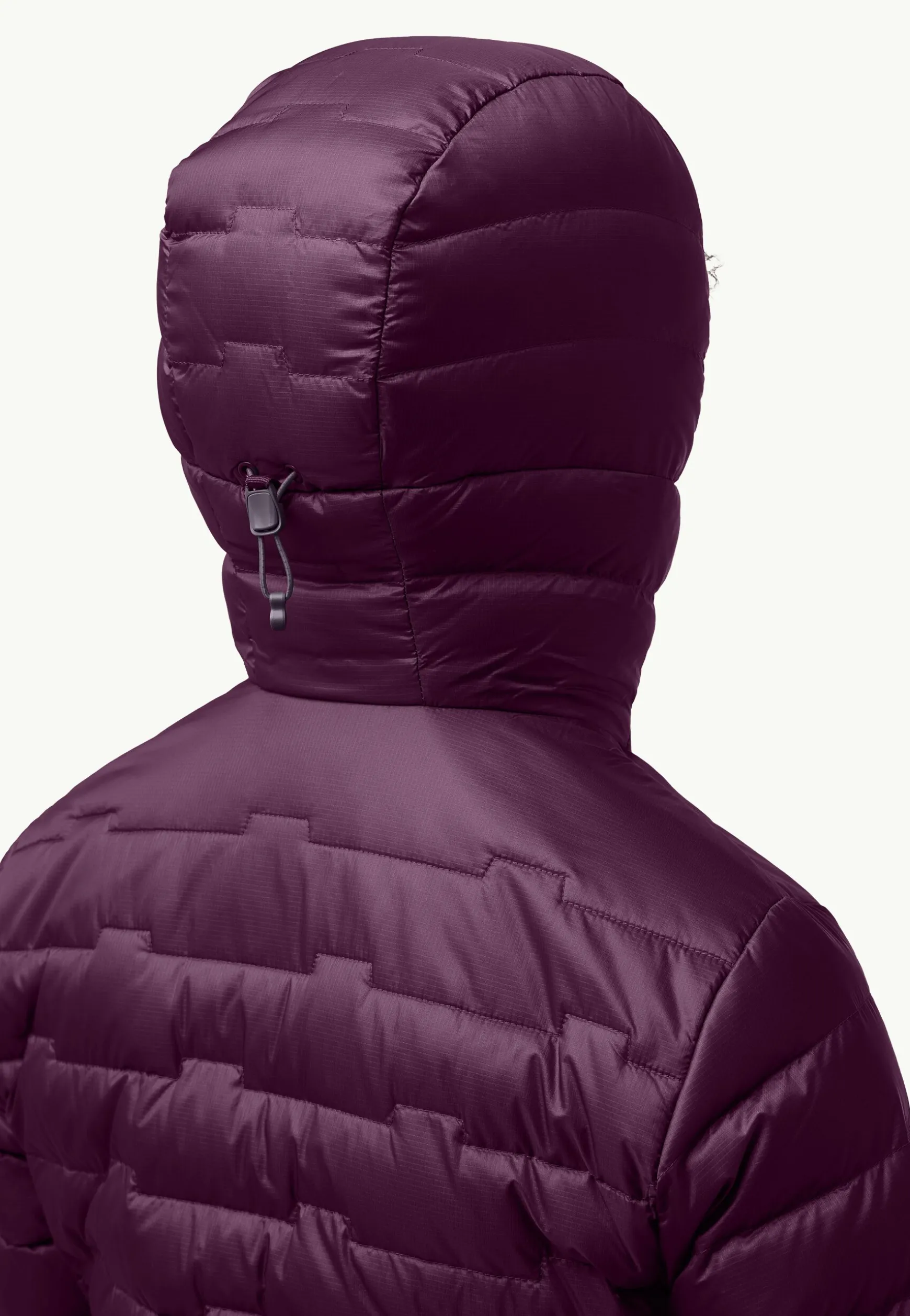 Passamani Down Hoody W Rds