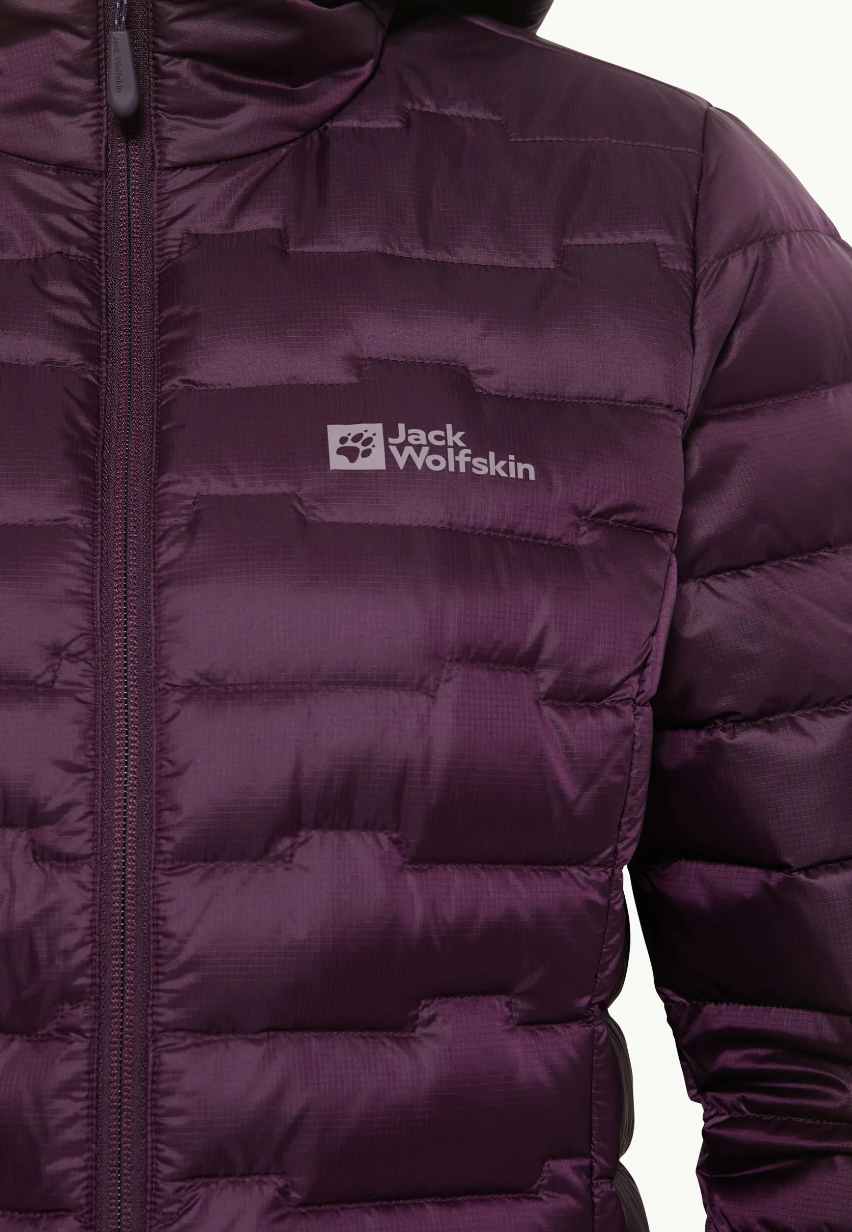 Passamani Down Hoody W Rds